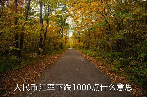 人民幣匯率下跌1000點什么意思