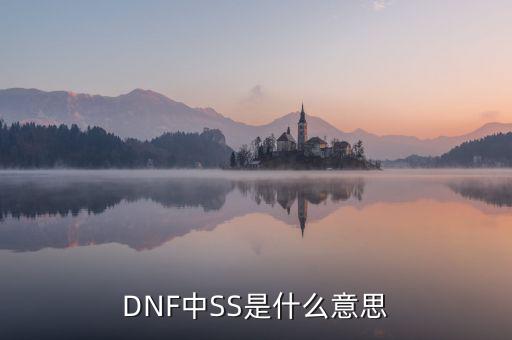 ngbss是什么，DNF武器cc和ss是指什么請(qǐng)?jiān)敿?xì)解釋