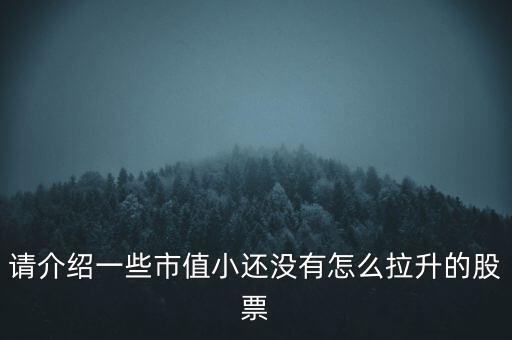 請介紹一些市值小還沒有怎么拉升的股票