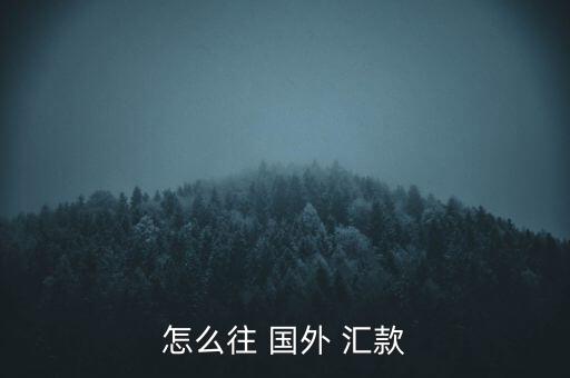 怎么往 國(guó)外 匯款