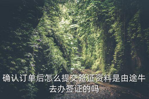 為什么途牛金服資料提交不了，申請途牛額度的資料怎么填寫我填的都是真的也很全啊但是一提