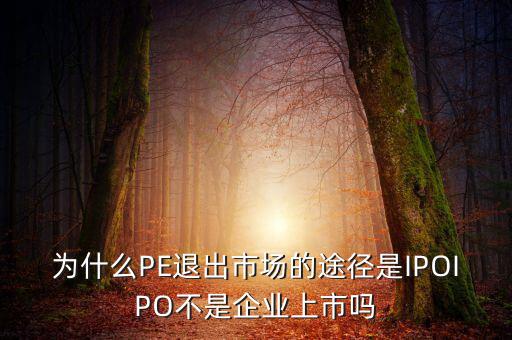 pe為什么要退出，為什么PE退出市場的途徑是IPOIPO不是企業(yè)上市嗎