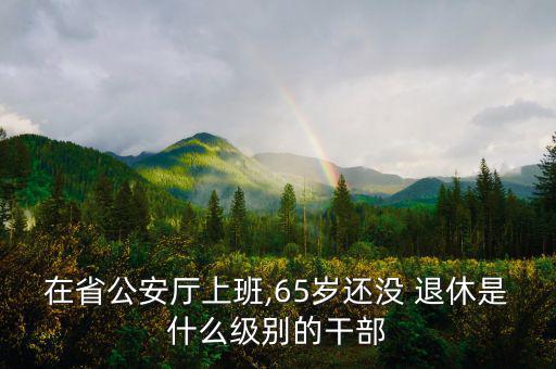 在省公安廳上班,65歲還沒 退休是什么級別的干部