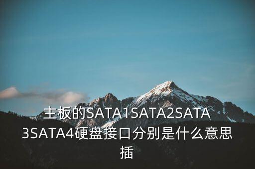 主板的SATA1SATA2SATA3SATA4硬盤(pán)接口分別是什么意思插