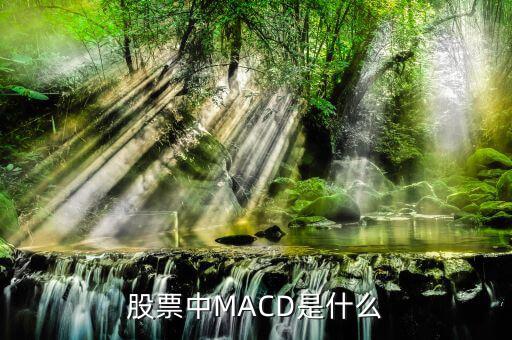 股市里MACD是什么意思，股票中MACD指標是什么意思