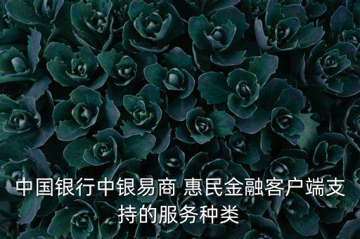 中國(guó)銀行中銀易商 惠民金融客戶端支持的服務(wù)種類