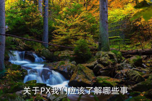 px項(xiàng)目是干什么的，關(guān)于PX我們應(yīng)該了解哪些事