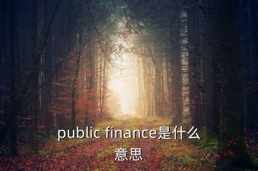 public finance是什么意思