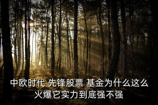 先鋒基金怎么樣,上投成長(zhǎng)先鋒第一隊(duì)基金現(xiàn)停申購(gòu)開放贖回狀態(tài)