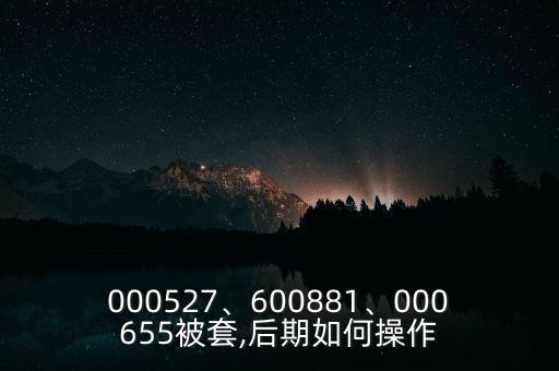 000527、600881、000655被套,后期如何操作