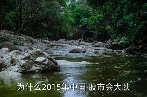 為什么2015年中國 股市會大跌