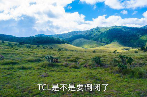 tcl什么時候申請的破產(chǎn)，TCL公司倒閉了嗎