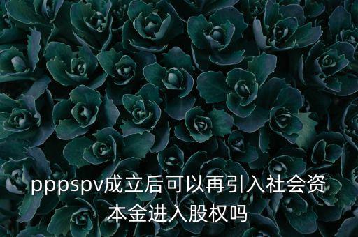 spv公司是什么意思，spv公司是獨(dú)立法人