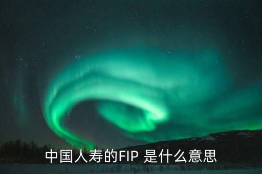 規(guī)模保費是什么意思，中國人壽的FIP 是什么意思