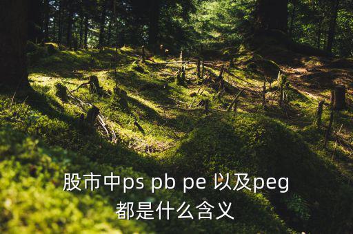 股市peg是什么意思，請問在股市里的PEG是什么意思和股價的關系怎樣多謝