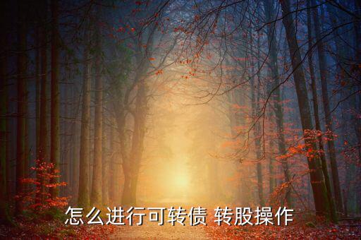 南山轉(zhuǎn)股怎么轉(zhuǎn),可轉(zhuǎn)債轉(zhuǎn)股交易日到達(dá)指定用戶(hù)交易賬戶(hù)