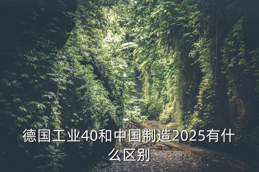 德國(guó)工業(yè)40和中國(guó)制造2025有什么區(qū)別