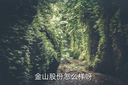 為什么沒人關(guān)注金山股份，金山股份怎么樣呀