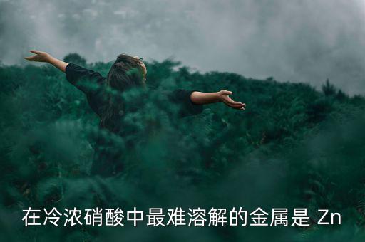 什么金屬易融難化，最不容易融化的金屬是什么想對來說便宜一點(diǎn)的是什么