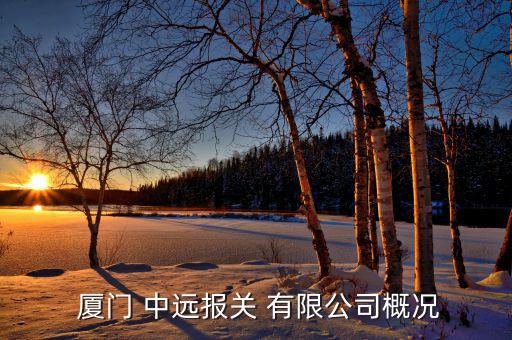  廈門 中遠(yuǎn)報關(guān) 有限公司概況