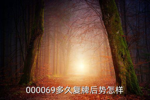 大洲興業(yè)什么時候復(fù)牌，000560各位大神知道啥時候復(fù)牌