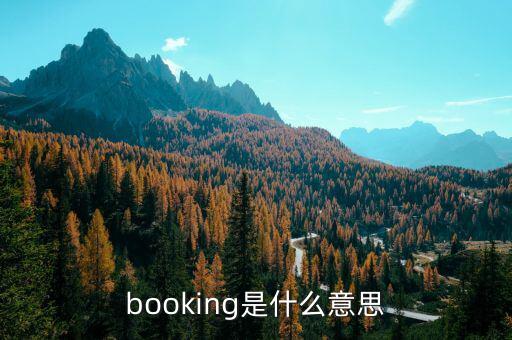 booking是什么意思