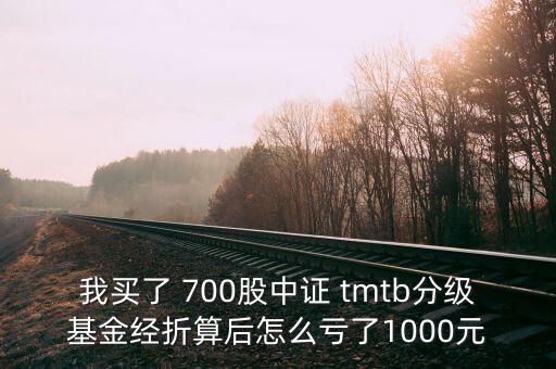 tmtb基金是什么股票，我買了 700股中證 tmtb分級基金經(jīng)折算后怎么虧了1000元