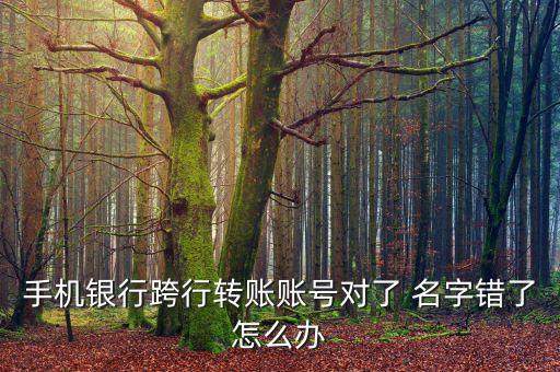 外匯名字不對(duì)怎么處理,如何在網(wǎng)上購(gòu)物和理財(cái)?