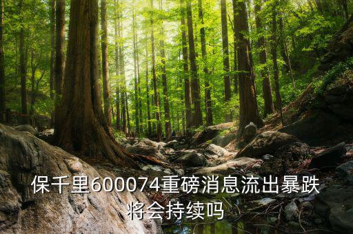 保千里600074重磅消息流出暴跌將會持續(xù)嗎