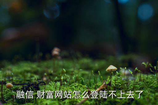 融信財富怎么樣,陽光城菲力富城:售樓處提供網(wǎng)絡(luò)安全咨詢