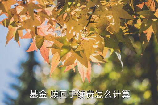  基金 贖回手續(xù)費怎么計算