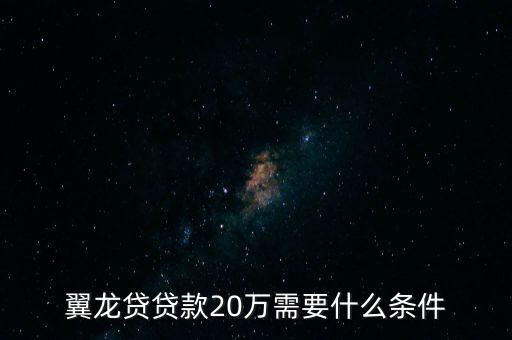 翼龍貸貸款20萬需要什么條件