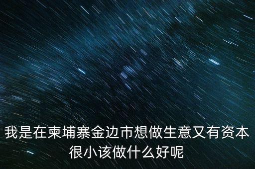 柬埔寨投資100萬元能干什么，我是在柬埔寨金邊市想做生意又有資本很小該做什么好呢