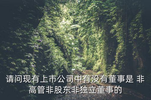 請(qǐng)問(wèn)現(xiàn)有上市公司中有沒(méi)有董事是 非高管非股東非獨(dú)立董事的