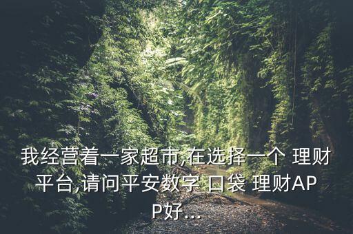 我經營著一家超市,在選擇一個 理財平臺,請問平安數字 口袋 理財APP好...