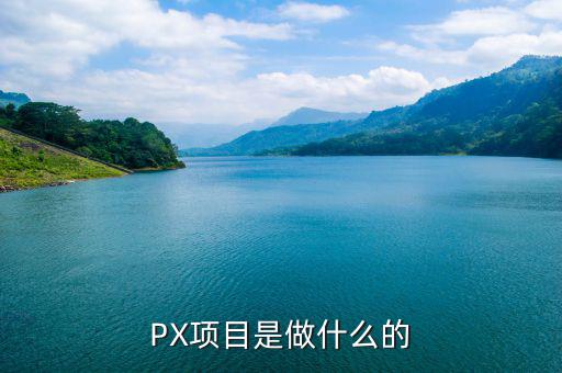 PX項(xiàng)目是做什么的