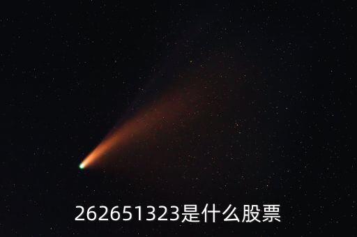 208393股票是什么，262651323是什么股票