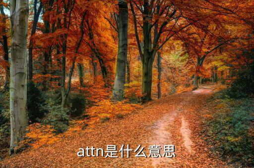 丙方是什么意思，attn是什么意思