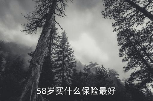 58歲女性做什么保險(xiǎn)，58歲女性可以辦哪些保險(xiǎn)啊