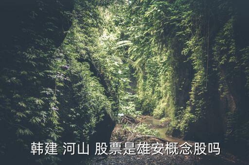 韓建河山股票怎么樣,愛奇查:韓建河山無國家控股