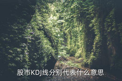 股票中的kdj代表什么，股票指標(biāo)的KDJ是什么意思