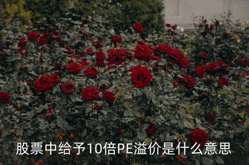 股票10倍市盈率什么意思，買(mǎi)10倍市盈率上下的大盤(pán)股什么意思