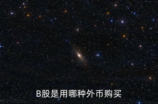 b股分紅支付什么貨幣，B股是用哪種外幣購買