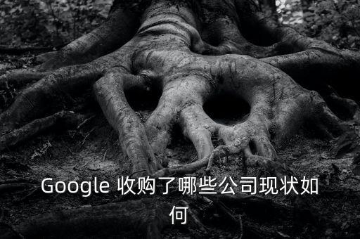 Google 收購了哪些公司現(xiàn)狀如何