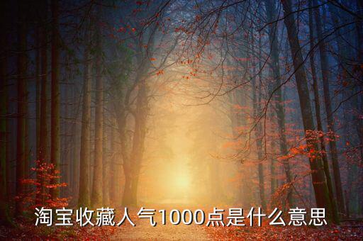 1000點(diǎn)2000點(diǎn)什么意思，加拿大簽證中1000 2000什么意思