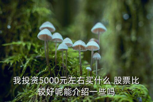 我投資5000元左右買什么 股票比較好呢能介紹一些嗎