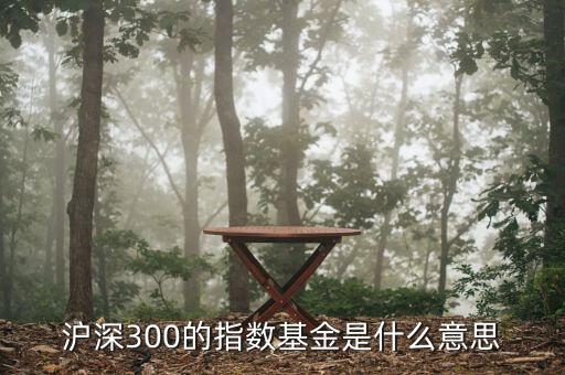 基金滬深300什么，滬深300的指數(shù)基金是什么意思