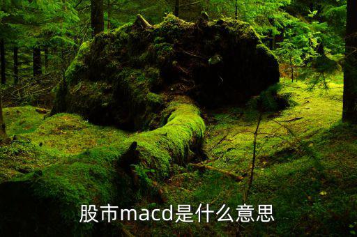 macd是什么意思，macd的含義是什么要簡單明了