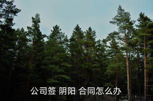 公司簽 陰陽(yáng) 合同怎么辦