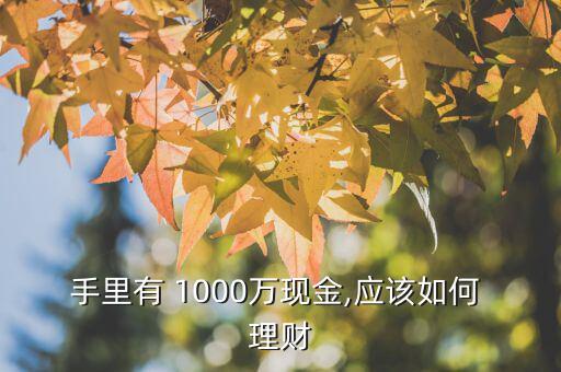 手里有 1000萬現(xiàn)金,應(yīng)該如何 理財(cái)